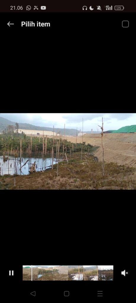 Misteri Tanah Transmigran Woekop, Halmahera Tengah: Dilepas Warga Lokal, Disertifikasi 1998, Kini Rawan Sengketa